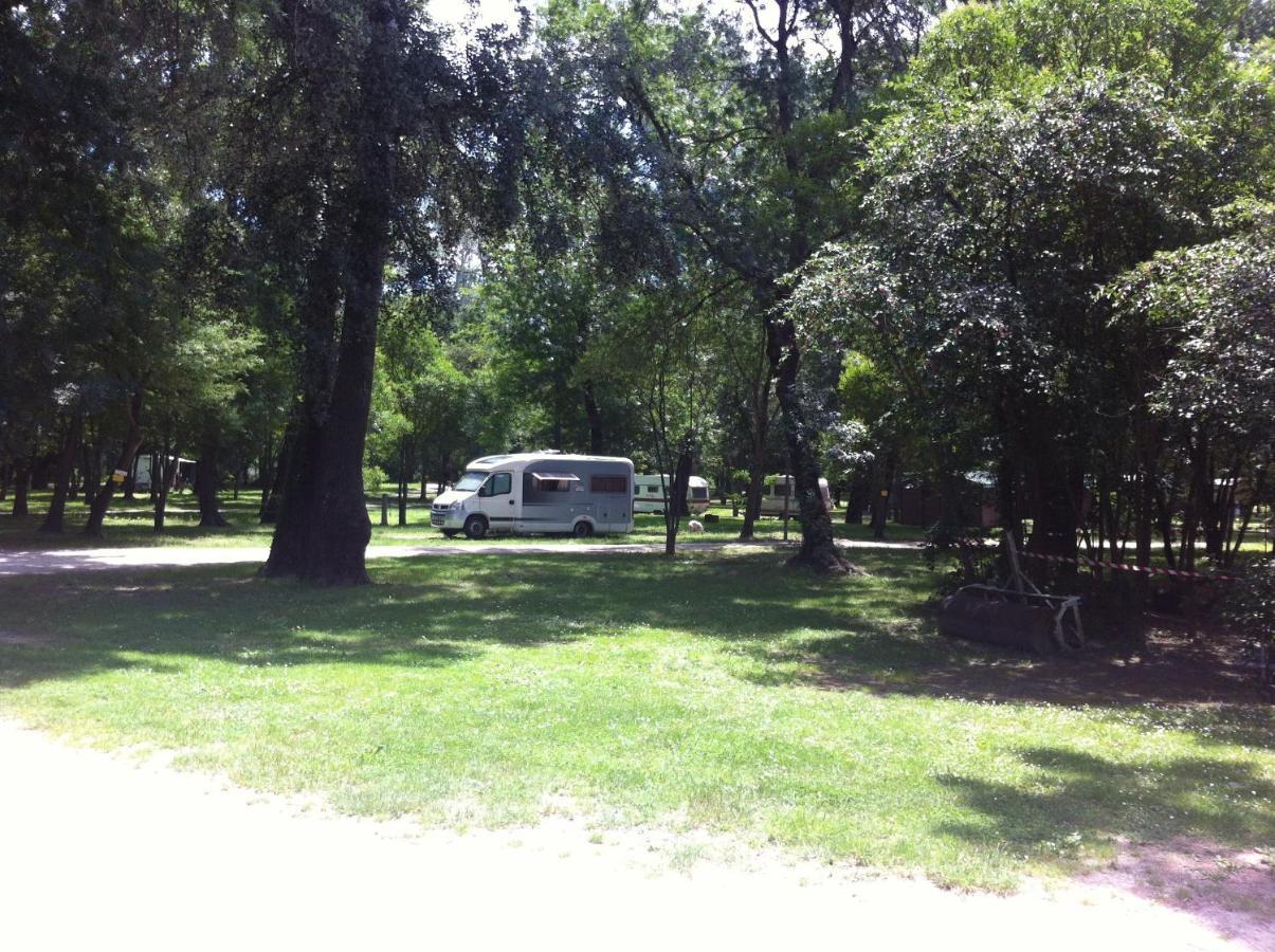 Camping Du Lion Бур-Сент-Андеоль Экстерьер фото